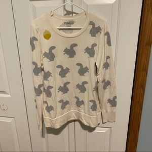 Squirrels sweater